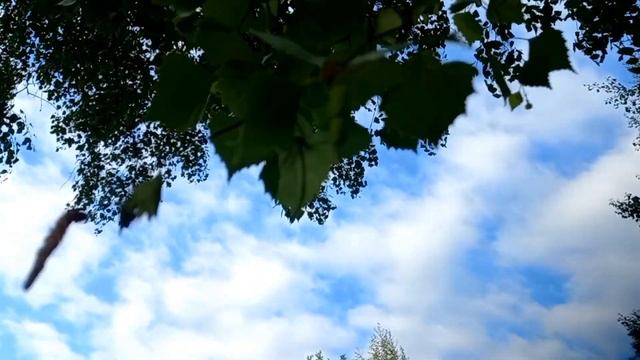 Аве Мария На Русском | Аве Мария Франца Шуберта