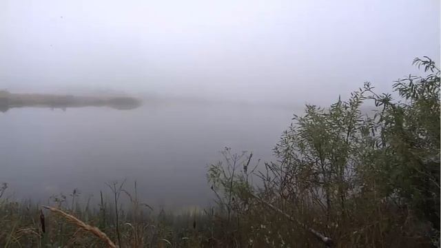 Сетябрь время ловить хищника Альтоир карьеры ярославль