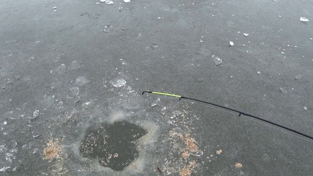 Лед еще Стоит. Подледный Фидер на Течении