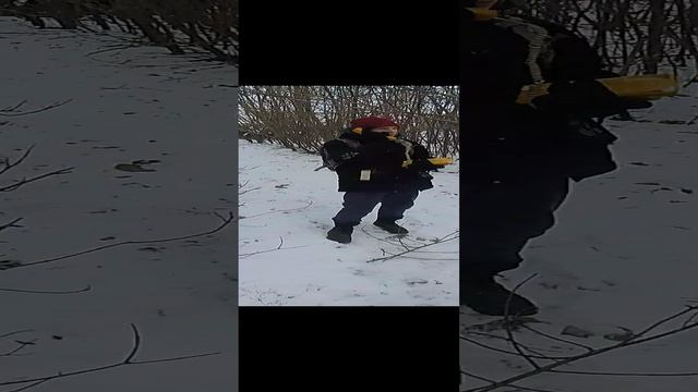 звонок