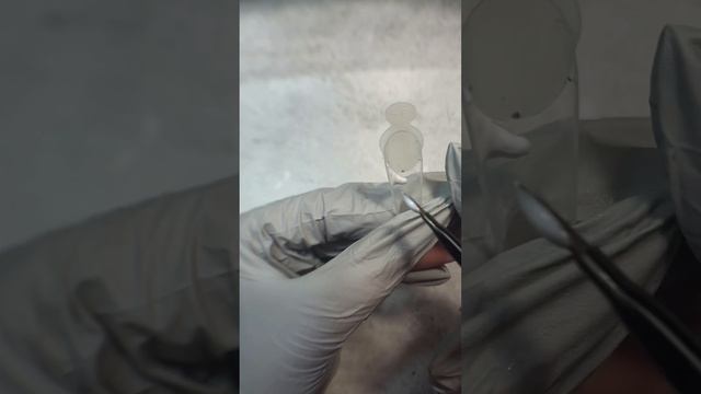 1. Базовый урок по установке молдов на ВЕРХНИЕ ФОРМЫ. Силиконовые молды для френча.