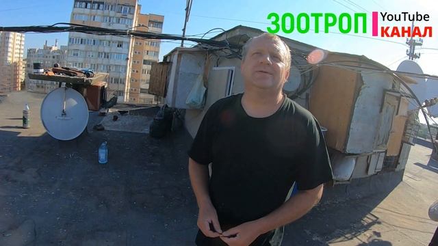 Содержание голубей на крыше. Интересная голубятня. Одесса рулит.