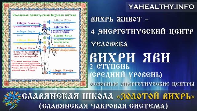 Вихрь Живот – 4 энергетический центр человека | Вихри Яви | Золотой Вихрь