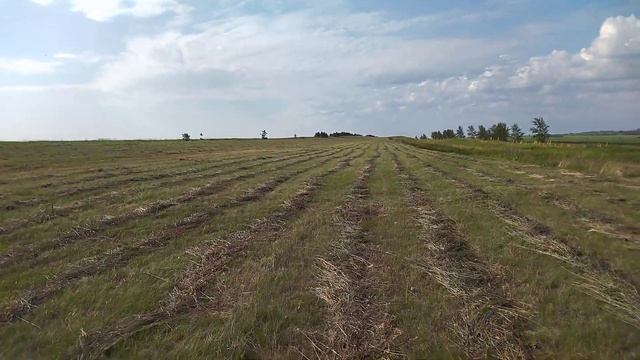 Китайский пресс подборщик 870 на Т 25 первые впечатление