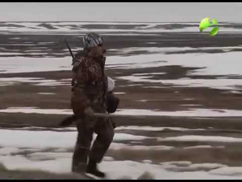 С полем! "Гусиная охота на Канарах" Часть 1 (#С_полем)