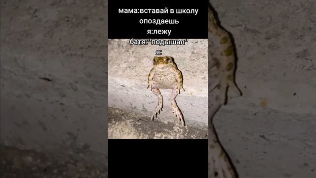 пан