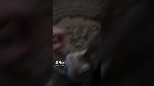 25 марта 2024 г..mp4