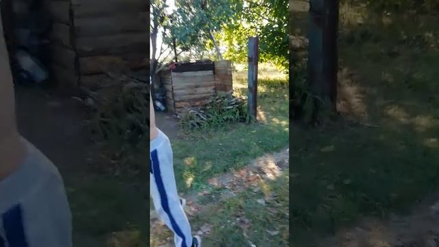 Пацан захотел ластик из пятёрочки, а взамен крапивой часть2