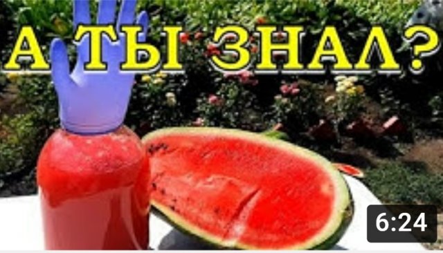 Домашнее ВИНО из АРБУЗА???: просто и вкусно!