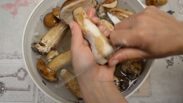 Подготовка грибов - как мыть, чистить и замачивать в соленой воде грибы из лесу