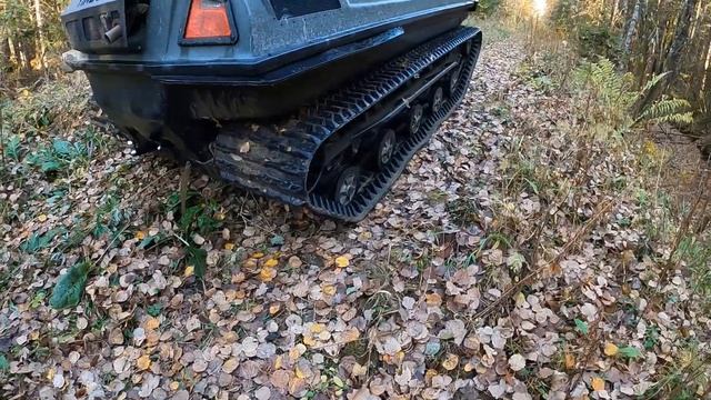 Обкатываем вездеход тингер ,покатушки по лесам и болоту