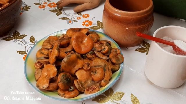 ЗАСОЛКА РЫЖИКОВ И ВОЛНУШЕК НА ЗИМУ /ЗАГОТОВКА ГРИБОВ