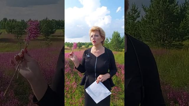 Сколько метров нужно отступить от забора соседа, чтобы поставить курятник? Ответ здесь!