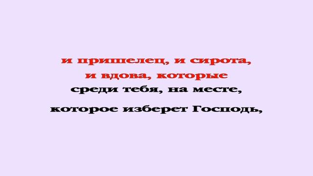 Видеобиблия. Второзаконие. Глава 16