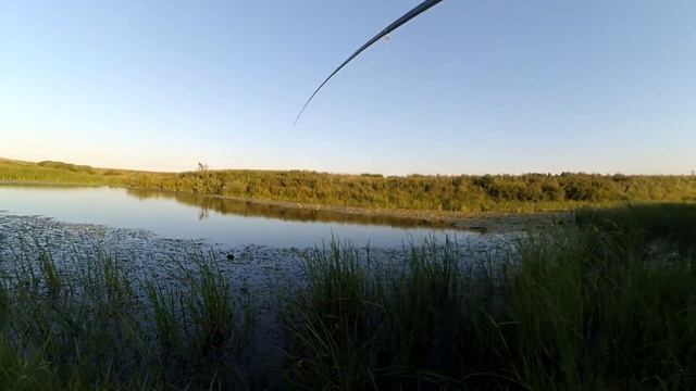 ЛОВЛЯ ЩУКИ НА ДИКОЙ РЕКЕ (щука на поплавок)