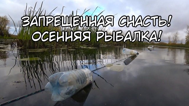 Запрещенная снасть! Рыбалка на щуку осенью на живца. Осенняя рыбалка!