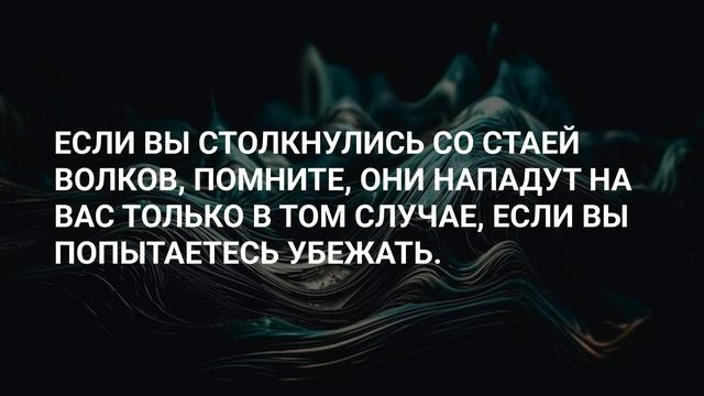 Факты которые могут спасти твою жизнь! Открываем тайны🪬