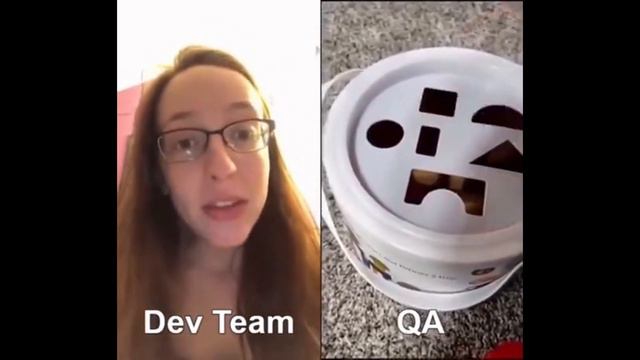 Paradox Dev vs QA