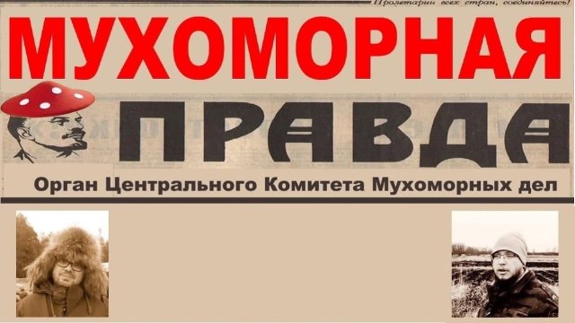 Мухоморная Правда № 7
