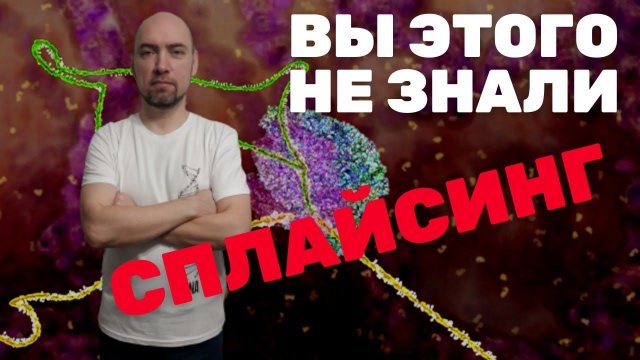 Что такое сплайсинг? Душкин объяснит