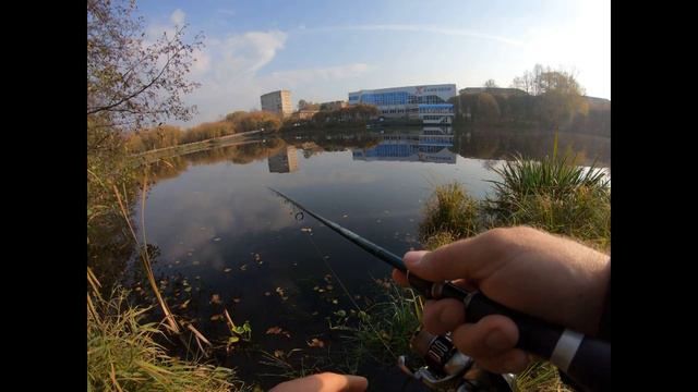 Осенняя щука на р Петрица