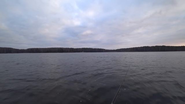 Рыбалка на спиннинг 2020. CRAZY FISH Arion 7-28 спиннинг на судака