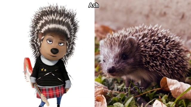Sing 2 All Characters In Real Life ?