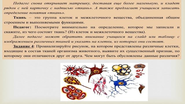 Разбор урока по биологии (5 класс) по теме "Организм-единое целое"