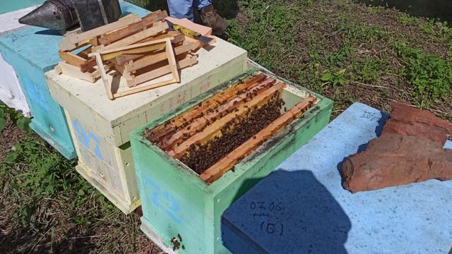 Как сделать из одной семьи пчел-ЧЕТЫРЕ