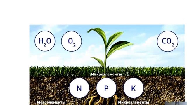 земледелие лекция 1