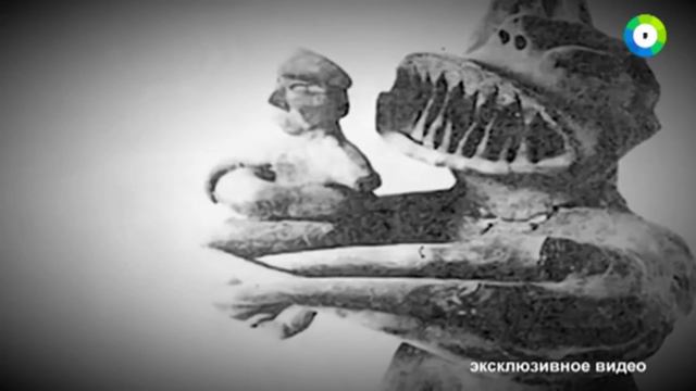 Земля Территория загадок Динозавры среди нас