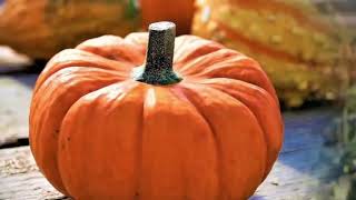 Чем полезна тыква и что будет если есть ее каждыи день Польза и вред тыквы.mp4