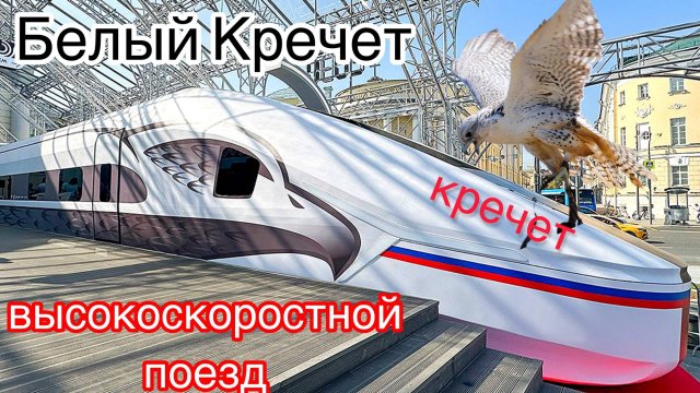 🔥БЕЛЫЙ КРЕЧЕТ💥Впервые ВЫСОКОСКОРОСТНОЙ поезд🔥Как он будет выглядеть👍ВСМ-1 Москва-Санкт-Петербург