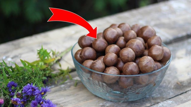 ПРОПОЛИС ПОЛЬЗА И ПРИМЕНЕНИЕ! ЛЕЧЕНИЕ ПРОПОЛИСОМ!