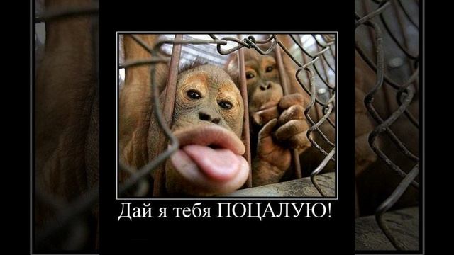 Мир Юмора. часть 2.0 Продолжение