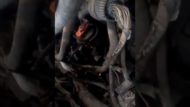 Замена трамблера на VW Passat B4