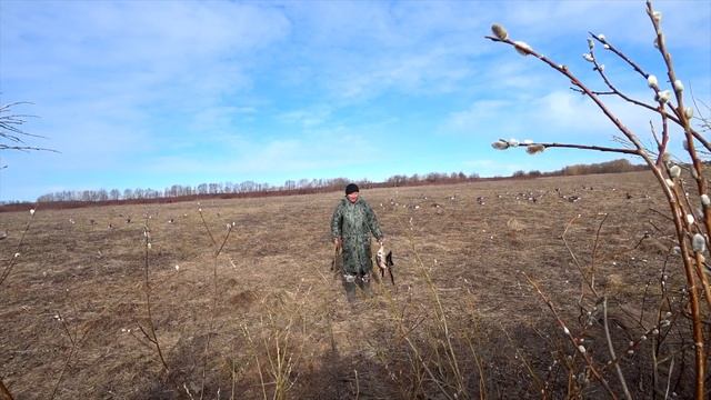 Охота на гуся в Архангельске