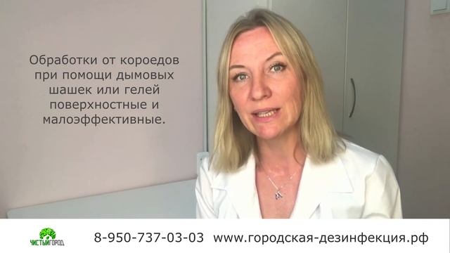 Короеды съедают деревянный дом. Что делать?