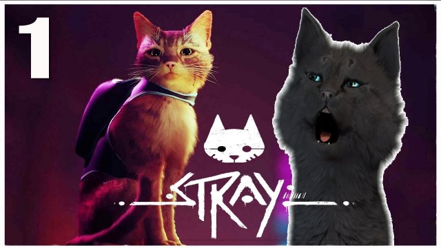 Супер Кот СТАЛ РЫЖИМ КОТОМ часть 1 ? Stray приключения кота в городе роботов