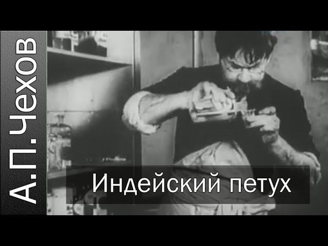 А.П.Чехов "Индейский петух" аудиокнига