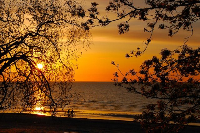 Федя называет Машку Энергетикой.