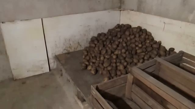 Вентиляция в подвале гаража.