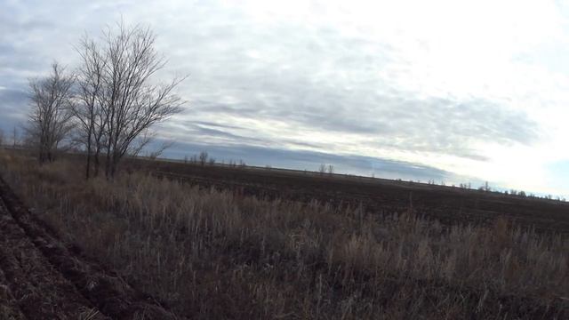 Охота на зайцев - Реабилитация