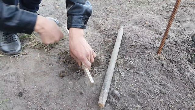 Простая и надёжная шпалера для малины и ежевики.