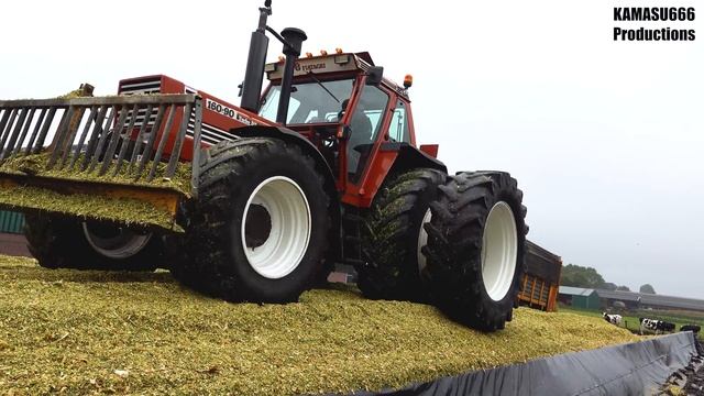 Mais 2021 : FIATAGRI Power / Mais häckseln 2021 / Fiatagri 160-90 / New Holland / Otten / Fiat F140