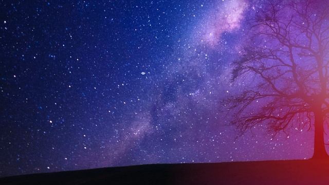 Загадай желание. Дерево желаний исполнит твоё желание. Смотри перед сном и думай о своем желании.