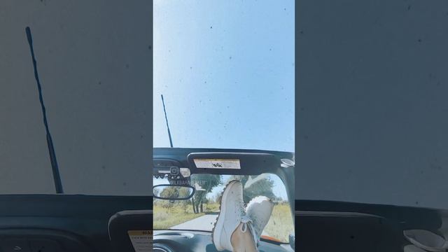 VID_25661229_195828_800