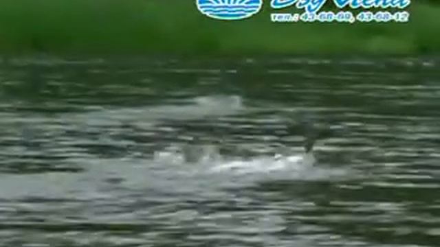 Сахалыы караоке 5 16