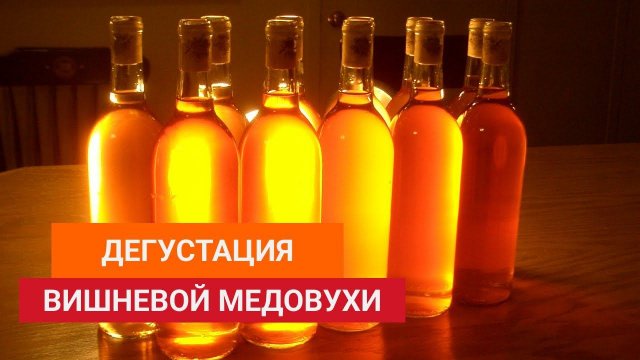 Дегустация вишневой медовухи. Просто бомбический результат Просто, вкусно, весело и легко