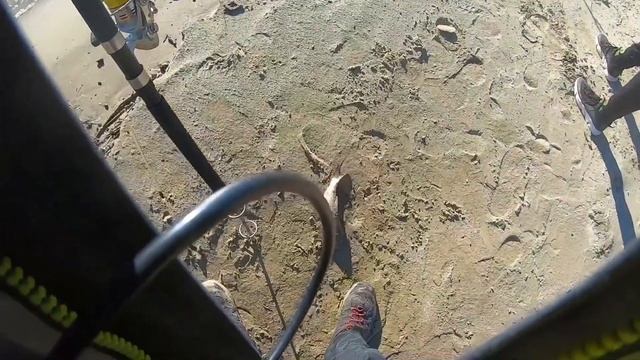 РЫБАЛКА НА ПЕСЧАНОМ БЕРЕГУ ИРТЫША! СТЕРЛЯДЬ, НАЛИМ И ЯЗЬ НА ДОНКУ!